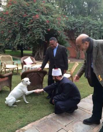 دار الإفتاء المصرية الكلب طاهر عند الحنفية