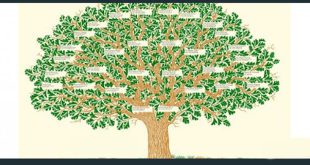 مشجرة النسب ومشروع النسب الجيني