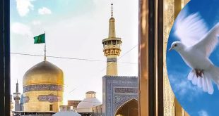 الحرية في فكر الإمام الرضا إيمان شمس الدين