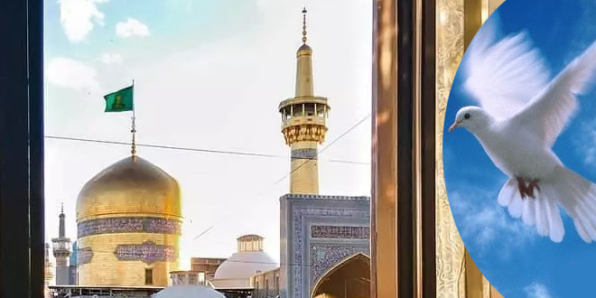 الحرية في فكر الإمام الرضا (عليه السلام) / إيمان شمس الدين