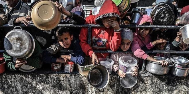 علماء ونشطاء يطالبون بتحرك عاجل لإنقاذ غزة من المجاعة