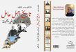 “تاريخ جبل عامل” إصدار جديد لـ ياسر الفقيه عن دار الأمير