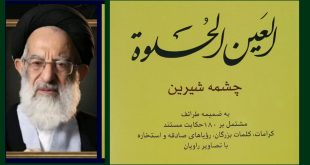 السيد شبيري الزنجاني