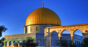 النجف الأشرف والقضية الفلسطينية