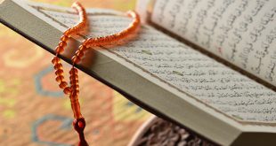 العقل ومصداقية الاحكام الاسلامية
