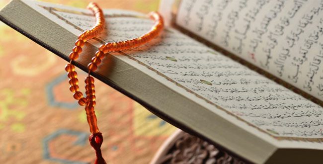 العقل ومصداقية الاحكام الاسلامية