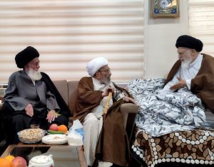 آية الله أشرفي الشاهرودي يلتقي بآية الله السيد علوي البروجردي